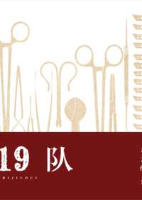 19队